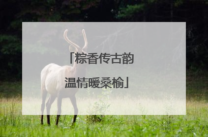 粽香传古韵 温情暖桑榆